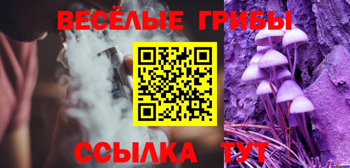 Псилоцибиновые грибы MAGIC MUSHROOMS Новокуйбышевск